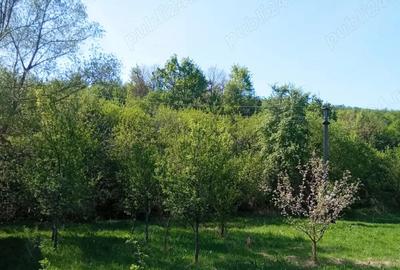 Teren de 1500 mp, în Vorța
