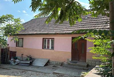 Casă cu 4 camere în Cut
