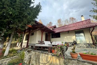 Casă cu 4 camere cu Teren 1527 Mp în Tăuții de Sus - 13