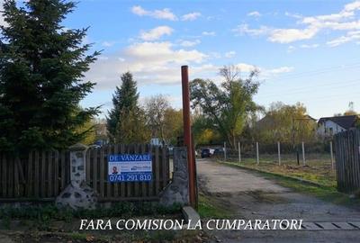 Teren Construcții intravilan de 3231 mp, în Ostroveni - 10
