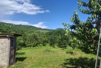 Casă cu 4 camere cu Teren 850 Mp în Târgșoru Vechi