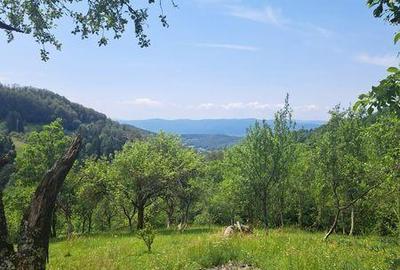 Casă cu 2 camere cu Teren 15000 Mp în Finiș - 6