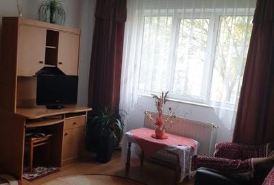 Apartament cu 2 camere semidecomandat în Lotrioara - 3