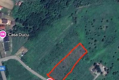 Teren de 5000 mp, în Central