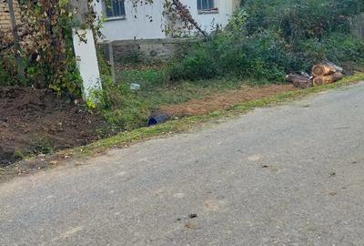Casă cu Teren 2900 Mp în Iaz - 3
