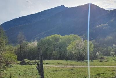 Teren de 8674 mp, în Călugăreni - 6