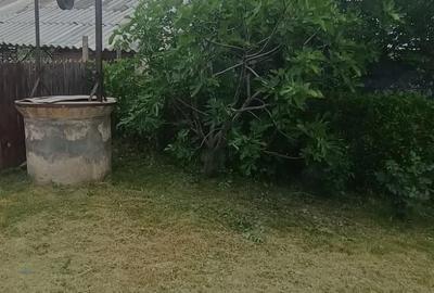 Casă cu Teren 2366 Mp în Căiata - 5