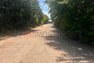 Teren de 200000 mp, în Agigea - 6