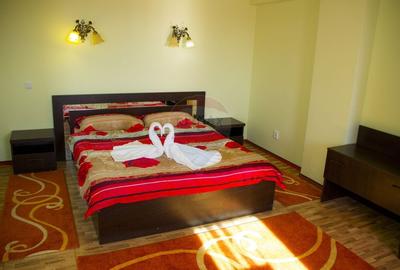 Hotel/Pensiune, de 5,200 mp, în Mânăstirea - 32
