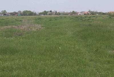 Casă cu Teren 65 Mp în Căuașd - 3