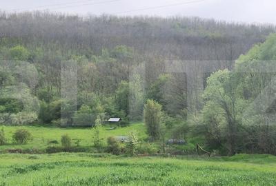 Teren de 120000 mp, în Brădești - 1