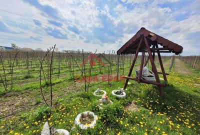 Casă în Băicoi - 15