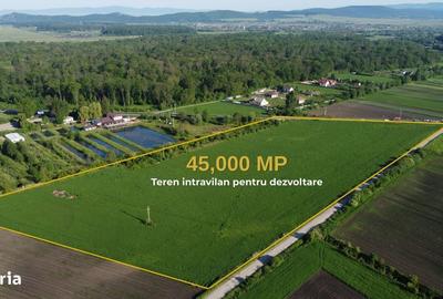 Spațiu comercial, în Lunca Calnicului - 6
