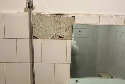 Garsonieră decomandată în Buziașului