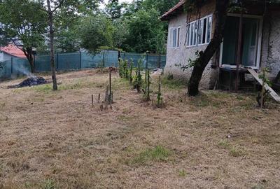 Casă cu 3 camere în Central - 4