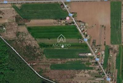Teren de 704 mp, în Gruiu - 6