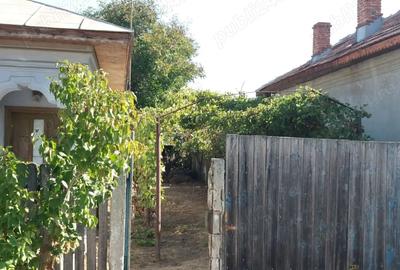 Casă cu 3 camere în Iancu Jianu - 4
