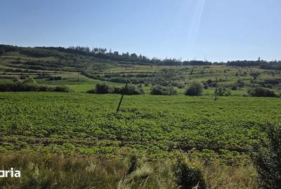 Teren de 2500 mp, în Vâlcele