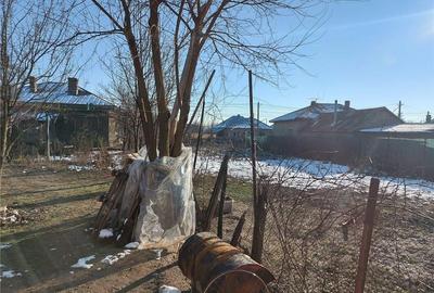 Casă în Fierbinți-Târg - 2