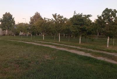 Casă cu Teren 2000 Mp în Central