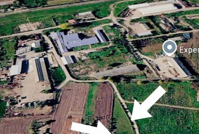Casă cu Teren 2313 Mp în Cobadin