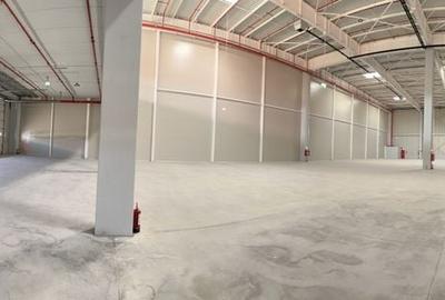 Spațiu industrial, de 2,500 mp, în Dragomirești-Deal - 3