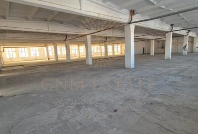 Spațiu industrial, de 3,700 mp, în Theodor Pallady - 11