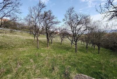 Teren de 2700 mp, în Ghelari - 9