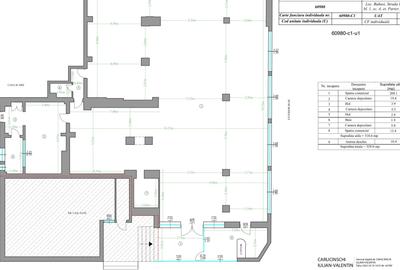 Spațiu comercial, de 330 mp, în Central - 1