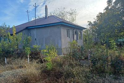 Casă cu 5 camere cu Teren 1100 Mp în Colceag