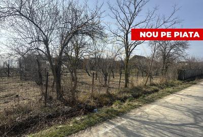 Teren Construcții intravilan de 800 mp, în Moșoaia - 2