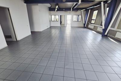 Birou, de 152 mp, în Jiului - 12