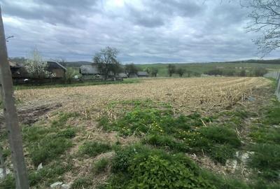 Teren de 48000 mp, în Ilișești - 6