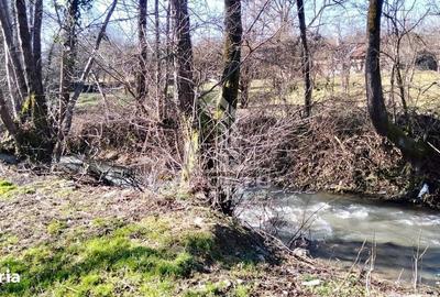 Casă cu 2 camere în Almaș - 14