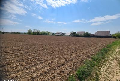 Teren de 1500 mp, în Măgura
