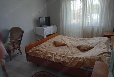 Casă cu 6 camere cu Teren 565 Mp în Ișalnița - 3