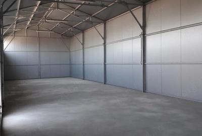 Spațiu comercial, de 120 mp, în Cantemir - 5