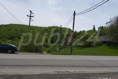 Teren de 2200 mp, în Moieciu - 6