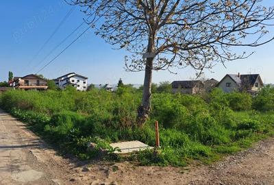 Teren de 2607 mp, în Vișan - 1
