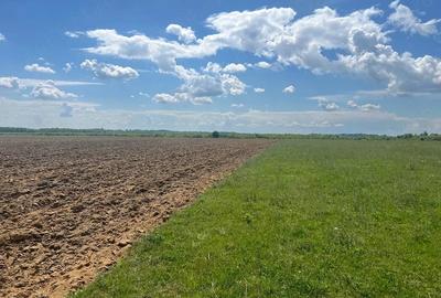 Teren de 8700 mp, în Bordenii Mici