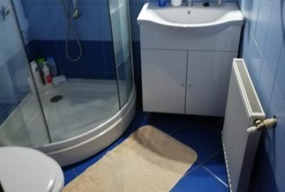 Apartament cu 2 camere semidecomandat, mobilat în Podu Roș - 5