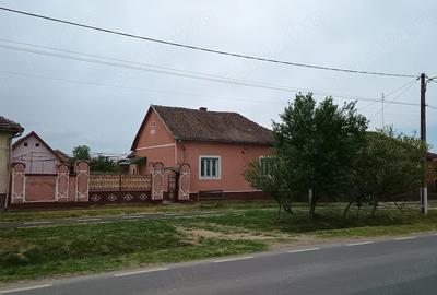 Casă cu 4 camere cu Teren 1300 Mp în Șicula - 3