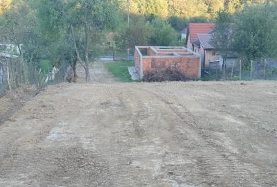 Casă cu 2 camere cu Teren 1142 Mp în Milova - 1