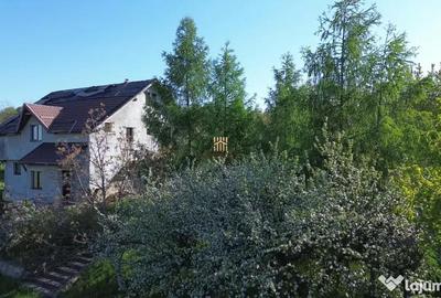 Teren de 4863 mp, în Adâncata - 16