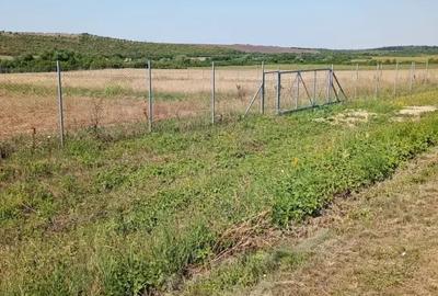 Teren de 6100 mp, în Bencecu de Jos