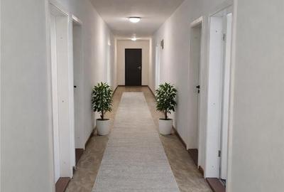Spațiu comercial, de 400 mp, în Colonia Bod - 6