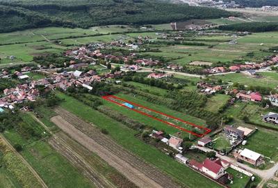 Teren Construcții intravilan de 2000 mp, în Betfia - 4