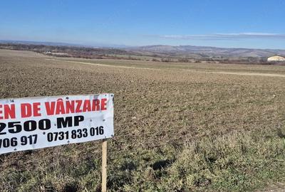 Teren de 2500 mp, în Bucov - 1