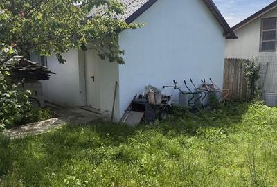 Casă cu 2 camere în Moara Domnească - 8