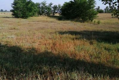 Teren de 500 mp, în Bratovoești